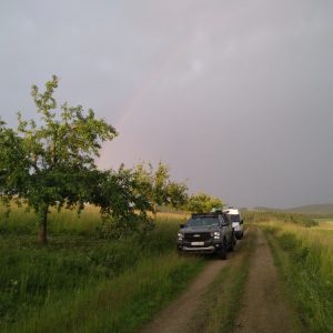 Sommerschnitt-Einsatz