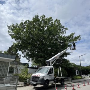 Zugang mittels Hebebühne